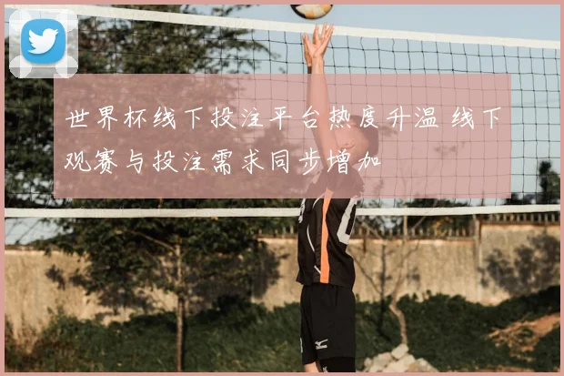 世界杯线下投注平台热度升温 线下观赛与投注需求同步增加