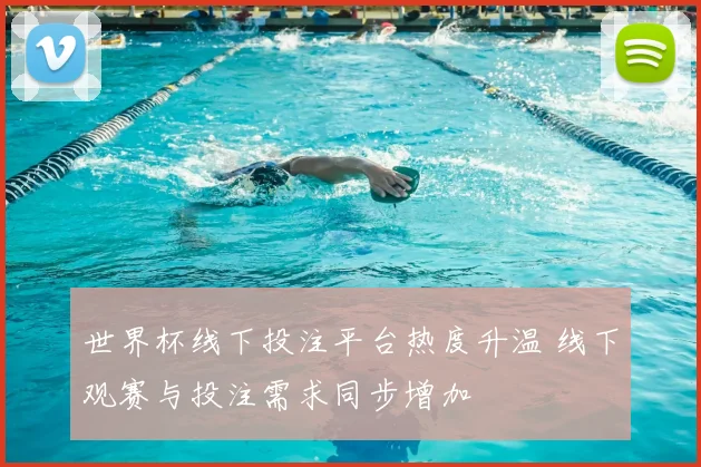 世界杯线下投注平台热度升温 线下观赛与投注需求同步增加