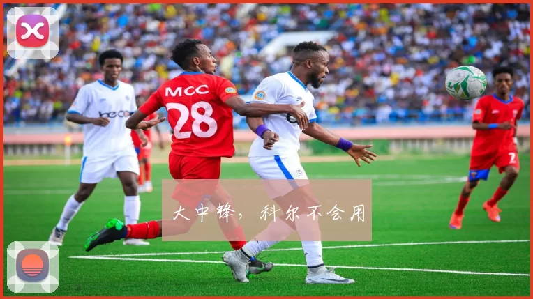 大中锋，科尔不会用