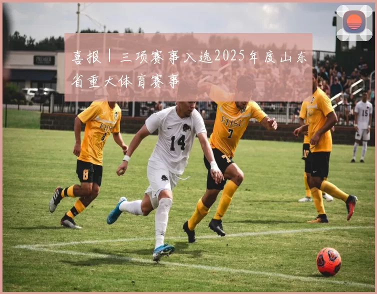 喜报|三项赛事入选2025年度山东省重大体育赛事