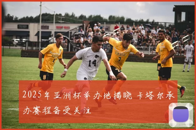 2025年亚洲杯举办地揭晓 卡塔尔承办赛程备受关注